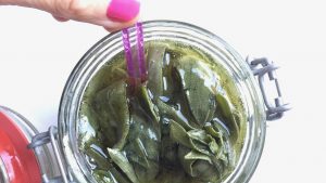 salvie sirup, salviesirup, hoste sirup, hostesaft, hjemmelavet hostesaft, Alternativ behandler silkeborg, biopat silkeborg, naturopath silkeborg, biopat jylland, naturopath jylland, biopat midtjylland, naturopath midtjylland, biopat østjylland, naturopath østjylland,