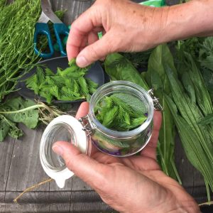 Alternativ behandler silkeborg, biopat silkeborg, naturopath silkeborg, biopat jylland, naturopath jylland, biopat midtjylland, naturopath midtjylland, biopat østjylland, naturopath østjylland, alternative medicin, biopat, naturopath, helsevejleder,