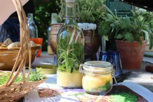 Alternativ behandler silkeborg, biopat silkeborg, naturopath silkeborg, biopat jylland, naturopath jylland, biopat midtjylland, naturopath midtjylland, biopat østjylland, naturopath østjylland, alternative medicin, biopat, naturopath, helsevejleder,